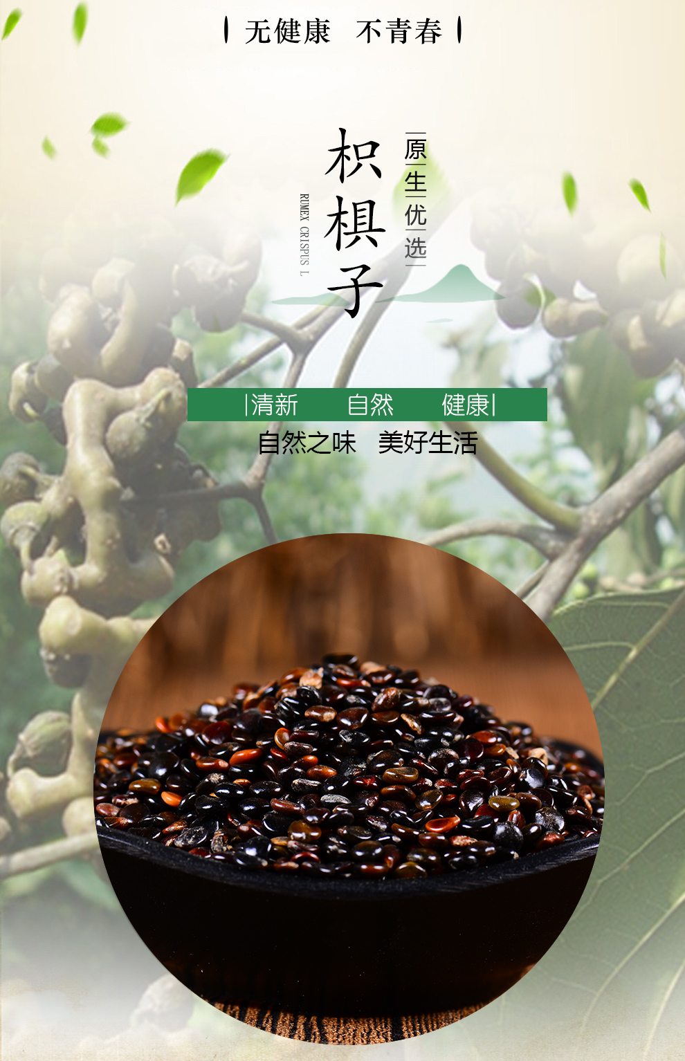 栢晟 枳椇子茶 鸡爪连 金钩梨 拐枣茶另有葛根花 枳椇