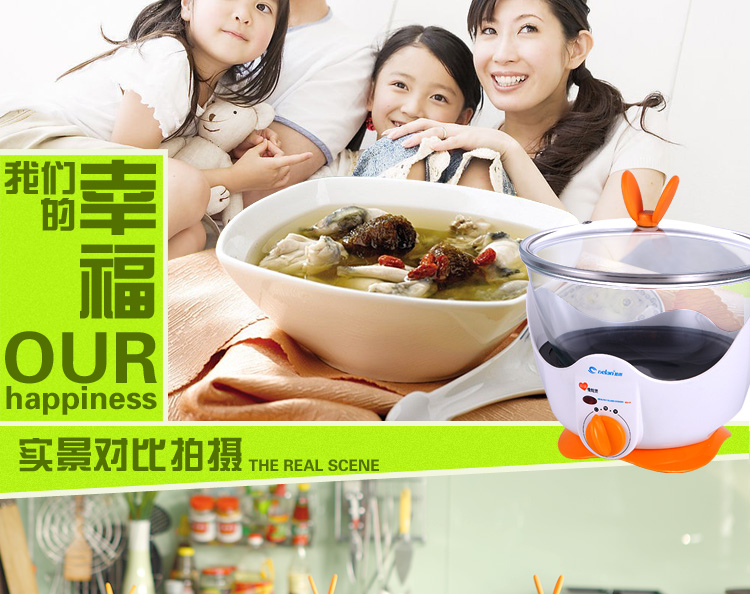 德朗DELAN玻璃慢炖锅电炖锅煲汤煲盅煮粥煮药养生汤煲 MD01