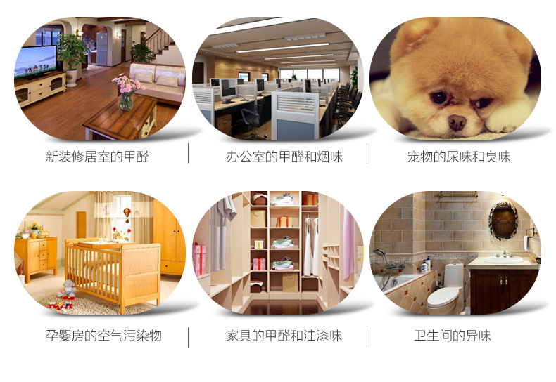 
                                                            德宣甲醛宝 强效分解去味去甲醛除味剂优于活性炭光触媒炭包新房去除甲醛                