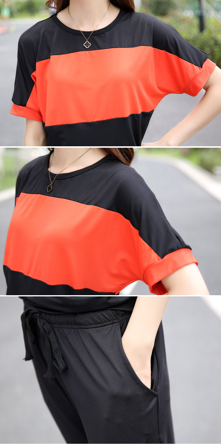 Spray / Summer 2015 new loose video thin large code short sleeve women 5201 Y black XL recommendations 120 - 140 Jack pictures, price, brand platters! Elections are good character, the national distribution, so why buy now enjoy more preferential! Health