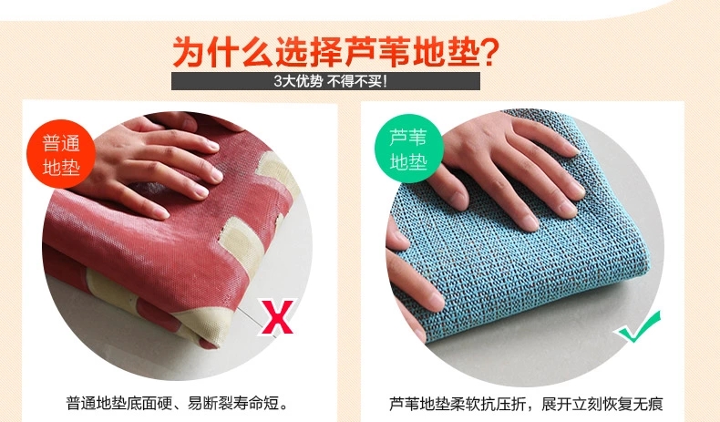 
                                        芦苇 加厚pvc塑料丝圈浴室垫吸水防滑地垫脚垫门垫客厅厨房地毯 椭圆绿色丝圈 39.5*70 2条装                