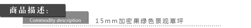 
                                        满铺人造草坪 塑料草皮仿真幼儿园楼顶阳台人工假 地毯地垫 30mm仿生四色秋草/一等品 每平方单价                