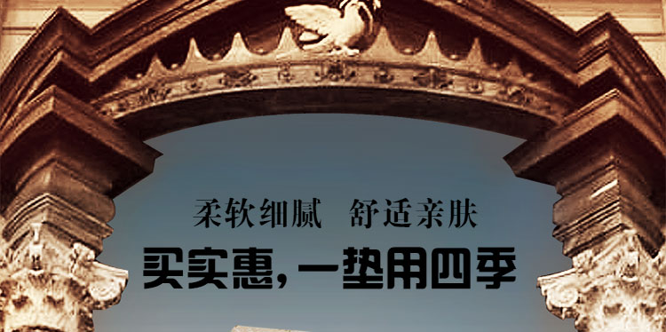 
                                        真琴 沙发垫坐垫布艺沙发巾罩套装防滑四季 倾世芳华 米 60*60cm扶手巾1片装                