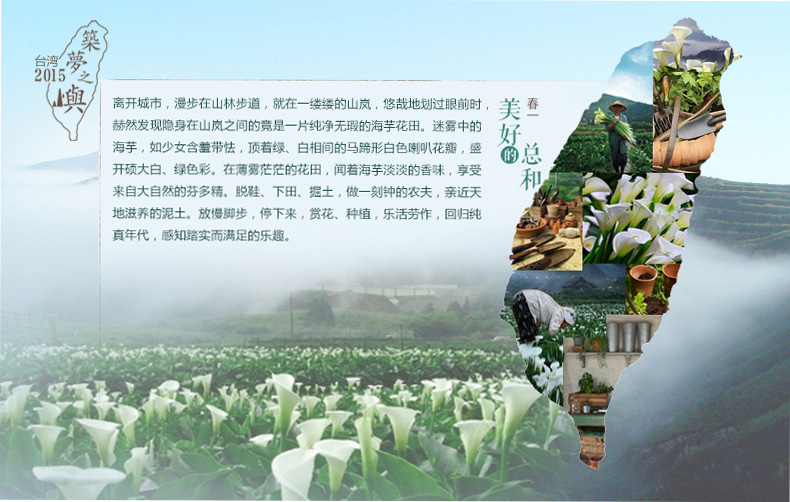 茵曼装新款简约纯色撞色拼接圆领长袖连衣裙女【8511010612】 灰绿色 M