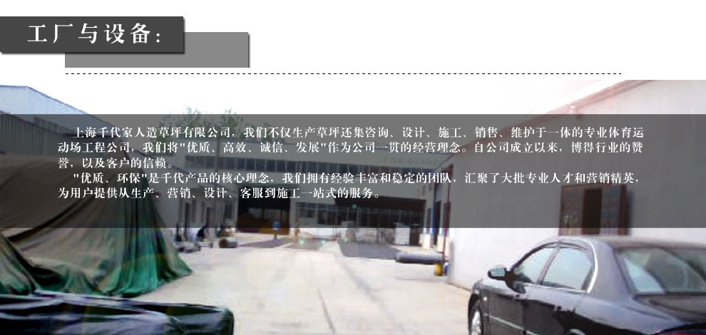 
                                        满铺人造草坪 塑料草皮仿真幼儿园楼顶阳台人工假 地毯地垫 30mm仿生四色秋草/一等品 每平方单价                