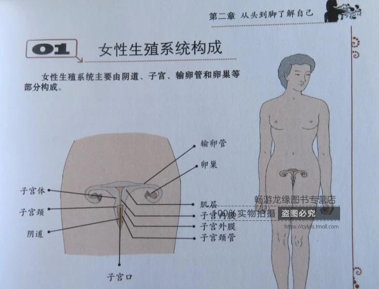 图解女性身体实用手册子宫保养乳房养护乳腺癌中医食养方预防与治疗