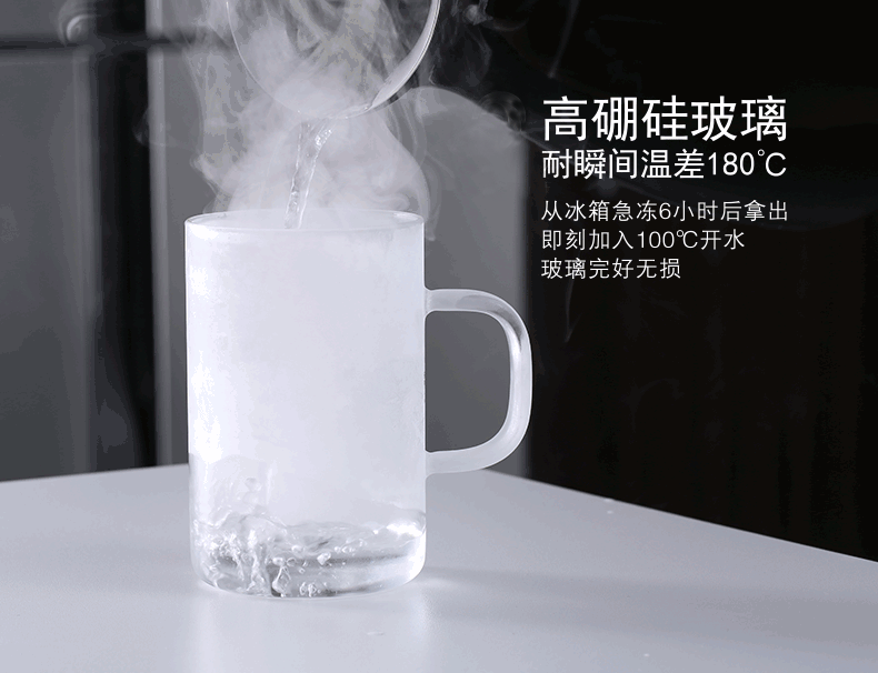 【618同价】尚明耐热玻璃杯 不锈钢过滤带盖泡茶杯 隔热玻璃茶杯 带把办公水杯 透明把柄500毫升