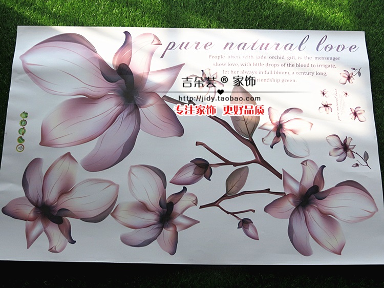 
                                        吉朵芸 捡漏 玉兰花温馨浪漫卧室墙贴大型客厅电视背景墙贴纸可移除墙贴贴画墙纸壁纸 玉兰花 特大                