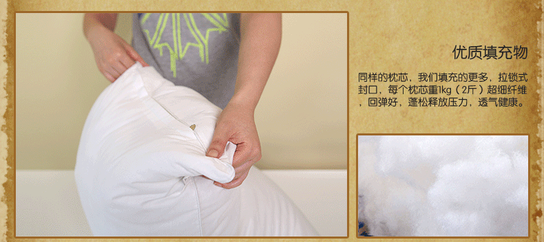 
                                        菲罗菈（Frola）全棉枕头 羽丝绒枕芯 一对（两只装）全棉舒适枕头 48*74cm两只装                