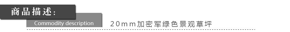 
                                        满铺人造草坪 塑料草皮仿真幼儿园楼顶阳台人工假 地毯地垫 30mm仿生四色秋草/一等品 每平方单价                