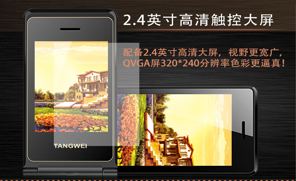 唐为（TANGWEI)TW101C 电信老人手机翻盖2G 黑色