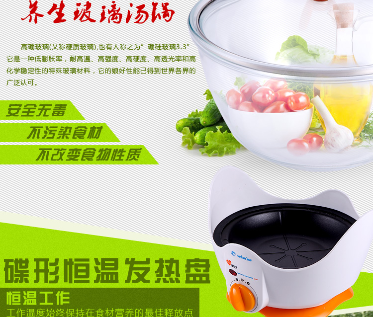 德朗DELAN玻璃慢炖锅电炖锅煲汤煲盅煮粥煮药养生汤煲 MD01