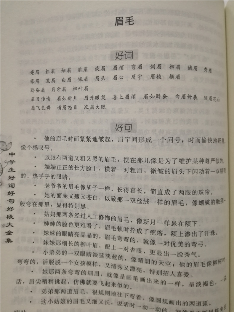 中学生好词好句好段大全集 4册 初中高中适用 写人记事写景状物说明