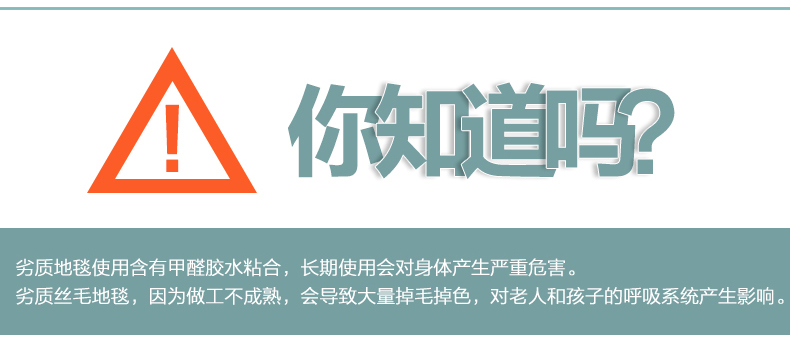 毯图地毯 客厅沙发地毯垫 现代长毛丝毛绒地垫 防滑加厚儿童大地毯 进门垫脚垫 卧室飘窗毯 紫色 60cm*90cm