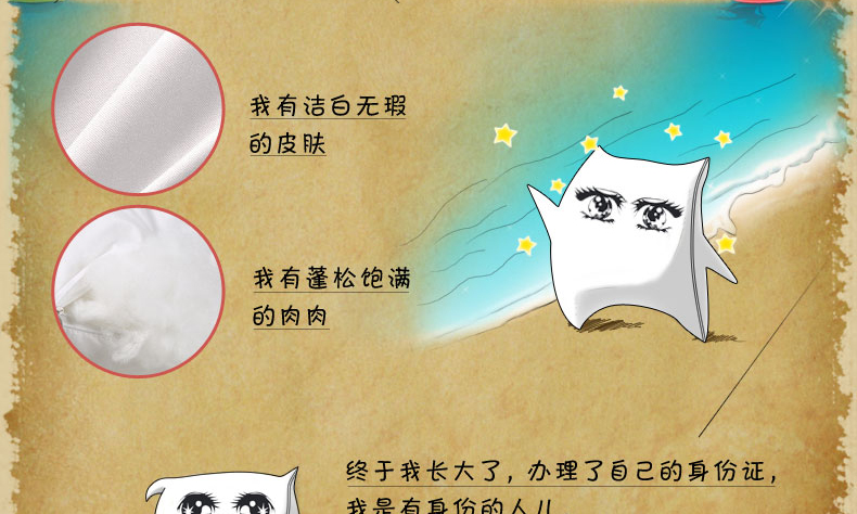 
                                        菲罗菈（Frola）全棉枕头 羽丝绒枕芯 一对（两只装）全棉舒适枕头 48*74cm两只装                