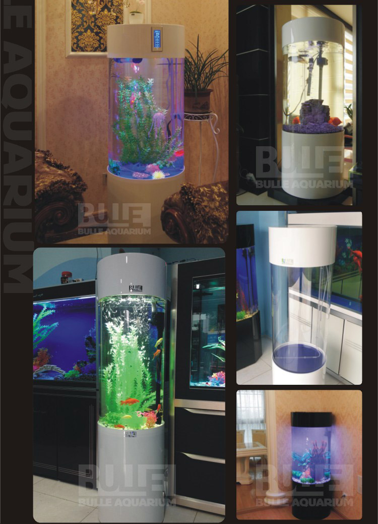 海豚 圆柱形创意鱼缸亚克力中型水族箱欧式造景生态免