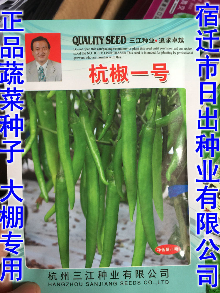 千特 杭椒一号辣椒种子原厂包装早熟型辣椒大棚专用蔬菜种子优良品种
