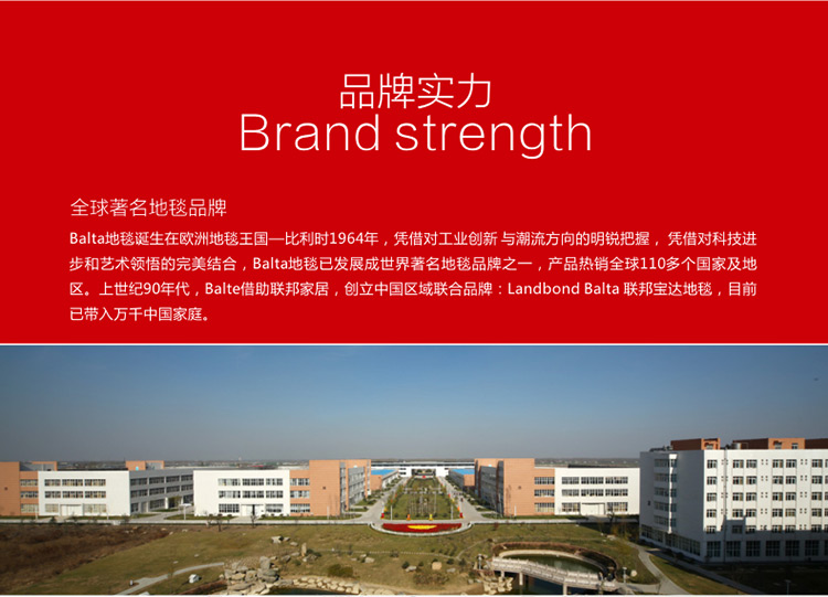 联邦宝达 地毯地垫 简约现代客厅卧室原装进口地毯时尚百搭客厅卧房仿羊毛地毯 小孙淘气 560-H50-X 1330MMx1900MM