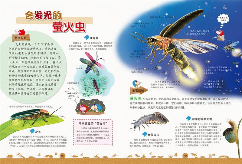 趣味图解动物大百科 精装 三四五年级课外书8-9-10-12岁儿童科普动物