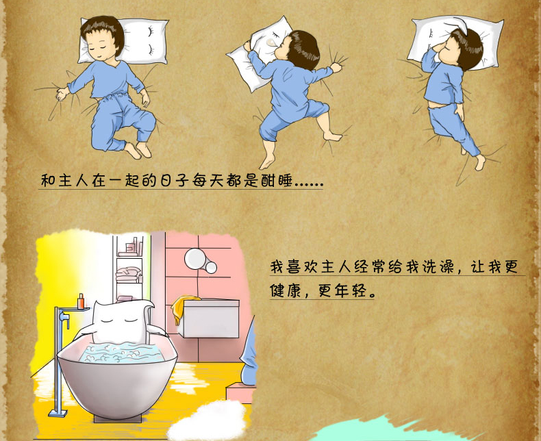 
                                        菲罗菈（Frola）全棉枕头 羽丝绒枕芯 一对（两只装）全棉舒适枕头 48*74cm两只装                