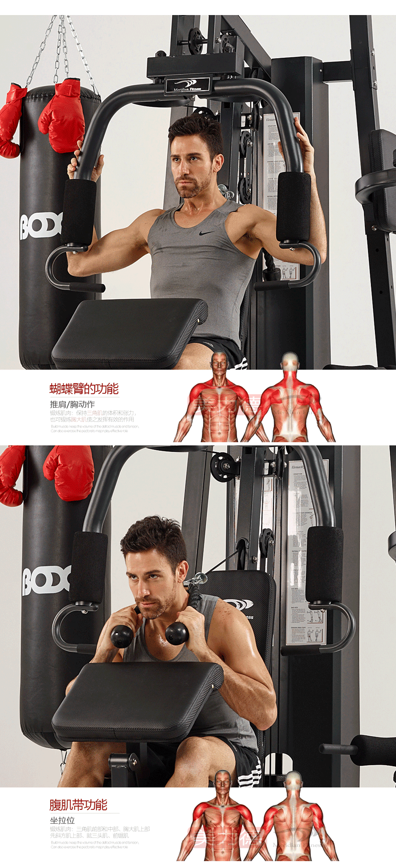 790_1731 竖版 竖屏