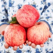 Luochuan Apple Shaanxi Seasonal Apple Fruit Red Fuji Apple Gift Box Fruit Fresh Fresh Crisp Sweet 12 Pieces 75mm High Quality Fruit Gift Box