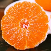 Jingai Sichuan ugly orange Shiranui citrus orange full box fresh fruit net weight 9 catties extra large fruit [85mm+] special grade