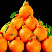 Jingai Sichuan ugly orange Shiranui citrus orange full box fresh fruit net weight 9 catties extra large fruit [85mm+] special grade