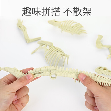 Di Yu Di Yu Children's Toys Archeology Toys Dinosaur Fossil Excavation Toys Exploration Model Skeleton Boys Girls Handmade Creative DIY Triceratops BFQ-DT801HH Di Yu Di Yu Children's Toys Archeology Toys Dinosaur Fossil Excavation Toys Exploration Model Skeleton Boys Girls Handmade Creative DIY Triceratops BFQ-DT801HH