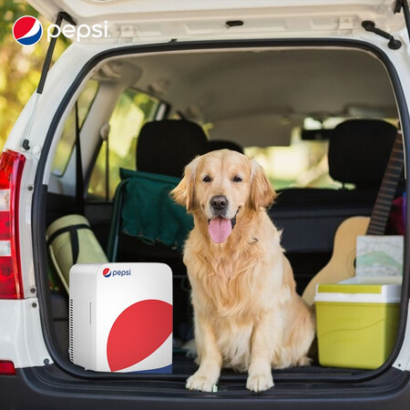 Pepsi pepsi car refrigerator 20L car home dual-use mini refrigerator small home student dormitory office refrigerated heating and cooling box dual-core BS-B20S Pepsi pepsi car refrigerator 20L car home dual-use mini refrigerator small home student dormitory office refrigerated heating and cooling box dual-core BS-B20S