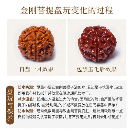 Yueyin Baichuan Vajra Bodhi Seed Bracelet for Men and Women, Five-petal Coiled Dragon Pattern Bodhi Seed Toy Handpiece, Approximately 8*11mm Yueyin Baichuan Vajra Bodhi Seed Bracelet for Men and Women, Five-petal Coiled Dragon Pattern Bodhi Seed Toy Handpiece, Approximately 8*11mm