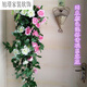 Flower with rattan on the wall room decoration vase floral wall hanging decoration flower rattan wall hanging Chlorophytum simulation rose living room interior wall green plant hanging basket flower silk flower rattan W 2 bunch mix and match set note color Flower with rattan on the wall room decoration vase floral wall hanging decoration flower rattan wall hanging Chlorophytum simulation rose living room interior wall green plant hanging basket flower silk flower rattan W 2 bunch mix and match set note color