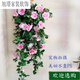 Flower with rattan on the wall room decoration vase floral wall hanging decoration flower rattan wall hanging Chlorophytum simulation rose living room interior wall green plant hanging basket flower silk flower rattan W 2 bunch mix and match set note color Flower with rattan on the wall room decoration vase floral wall hanging decoration flower rattan wall hanging Chlorophytum simulation rose living room interior wall green plant hanging basket flower silk flower rattan W 2 bunch mix and match set note color