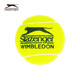 Sliweig Slazenger 3 grain tennis iron tank temperature network training game with ball full box 24 tube 340939 Sliweig Slazenger 3 grain tennis iron tank temperature network training game with ball full box 24 tube 340939