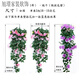 Flower with rattan on the wall room decoration vase floral wall hanging decoration flower rattan wall hanging Chlorophytum simulation rose living room interior wall green plant hanging basket flower silk flower rattan W 2 bunch mix and match set note color Flower with rattan on the wall room decoration vase floral wall hanging decoration flower rattan wall hanging Chlorophytum simulation rose living room interior wall green plant hanging basket flower silk flower rattan W 2 bunch mix and match set note color