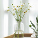 Sweet spot small vase glass transparent hydroponic plant fake artificial flower mini vase floral ins style Japanese decorative ornaments 2 packs Sweet spot small vase glass transparent hydroponic plant fake artificial flower mini vase floral ins style Japanese decorative ornaments 2 packs