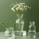 Sweet spot small vase glass transparent hydroponic plant fake artificial flower mini vase floral ins style Japanese decorative ornaments 2 packs Sweet spot small vase glass transparent hydroponic plant fake artificial flower mini vase floral ins style Japanese decorative ornaments 2 packs