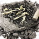 Di Yu Di Yu Children's Toys Archeology Toys Dinosaur Fossil Excavation Toys Exploration Model Skeleton Boys Girls Handmade Creative DIY Triceratops BFQ-DT801HH Di Yu Di Yu Children's Toys Archeology Toys Dinosaur Fossil Excavation Toys Exploration Model Skeleton Boys Girls Handmade Creative DIY Triceratops BFQ-DT801HH