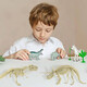 Di Yu Di Yu Children's Toys Archeology Toys Dinosaur Fossil Excavation Toys Exploration Model Skeleton Boys Girls Handmade Creative DIY Triceratops BFQ-DT801HH Di Yu Di Yu Children's Toys Archeology Toys Dinosaur Fossil Excavation Toys Exploration Model Skeleton Boys Girls Handmade Creative DIY Triceratops BFQ-DT801HH