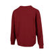 耐克NIKE【滔搏运动】女子AS W NY LUXE WAFFLE L/S CREW G卫衣 HV8466-677 M 耐克NIKE【滔搏运动】女子AS W NY LUXE WAFFLE L/S CREW G卫衣 HV8466-677 M