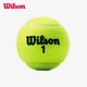 Wilson Wilson Sealed Canned Championship Series Tennis 3 Pack WRT100101 Wilson Wilson Sealed Canned Championship Series Tennis 3 Pack WRT100101