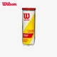 Wilson Wilson Sealed Canned Championship Series Tennis 3 Pack WRT100101 Wilson Wilson Sealed Canned Championship Series Tennis 3 Pack WRT100101
