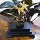 Esk Gold Foil Fortune Tree Money Tree Ornament Lucky Tree Home Crafts Living Room TV Cabinet Opening Housewarming Gift Fortune Tree Esk Gold Foil Fortune Tree Money Tree Ornament Lucky Tree Home Crafts Living Room TV Cabinet Opening Housewarming Gift Fortune Tree