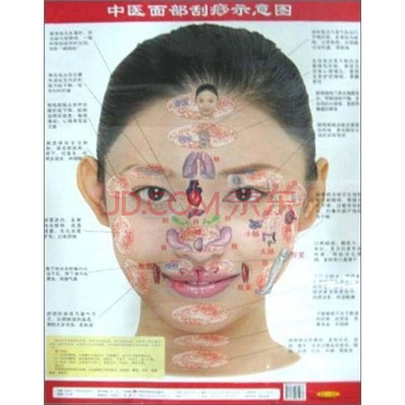 中医面部刮痧示意图图片