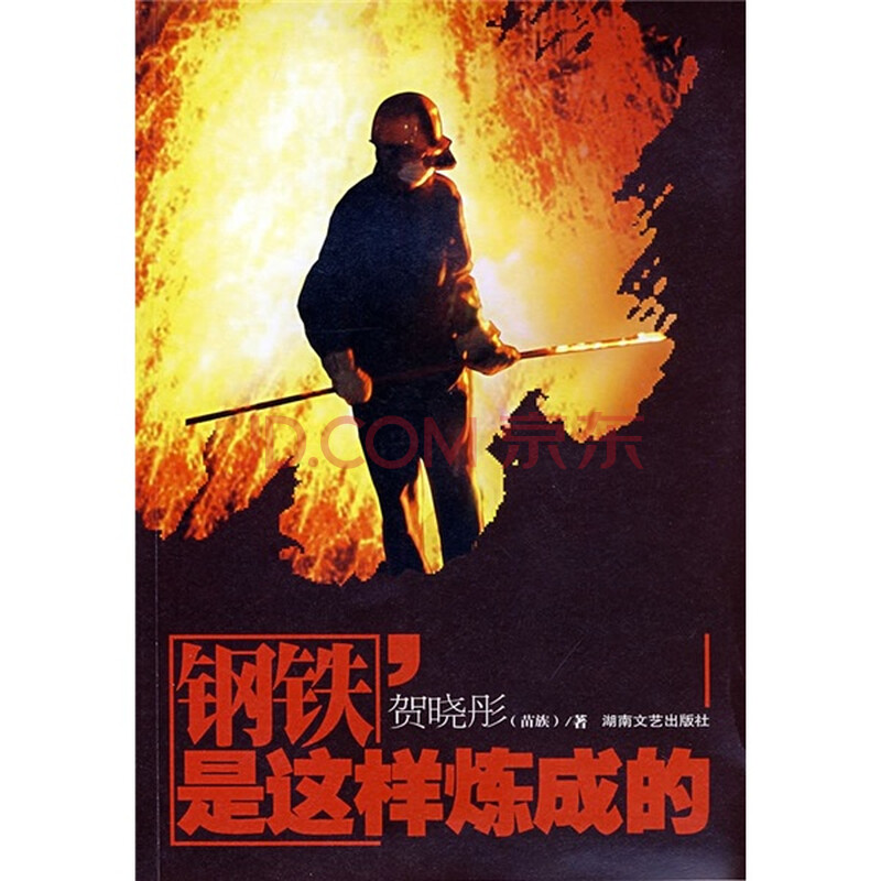  钢铁是这样炼成的 图片