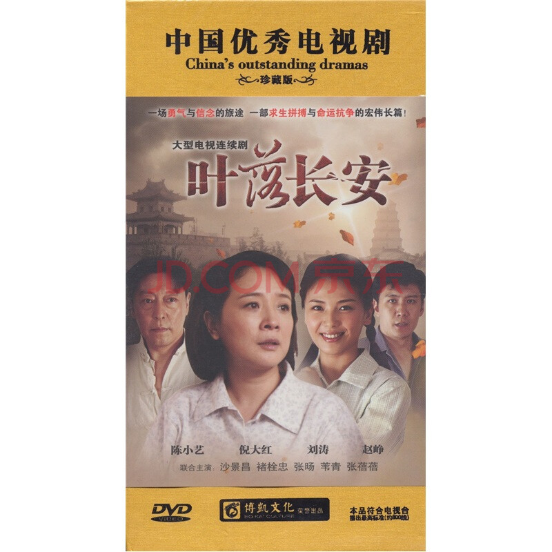 叶落长安(14dvd)