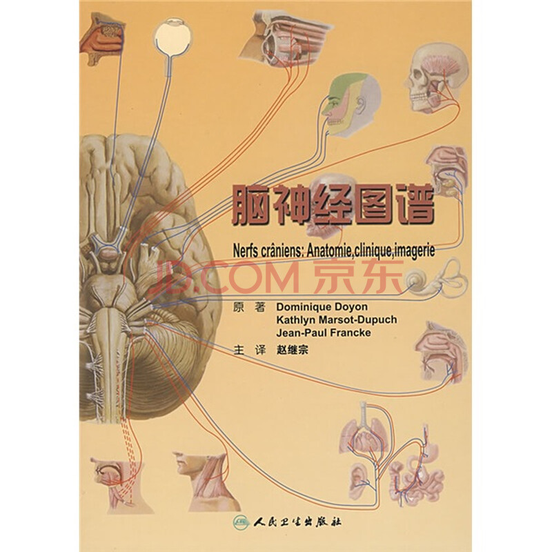 品管圈护理圈徽图片 宽600x600高