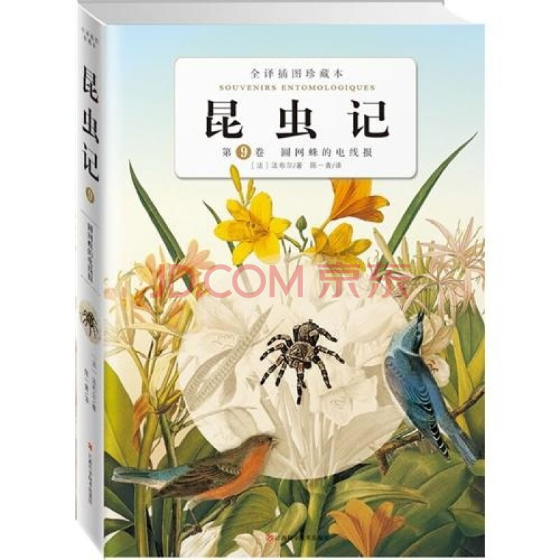 【昆虫记蜘蛛片段】