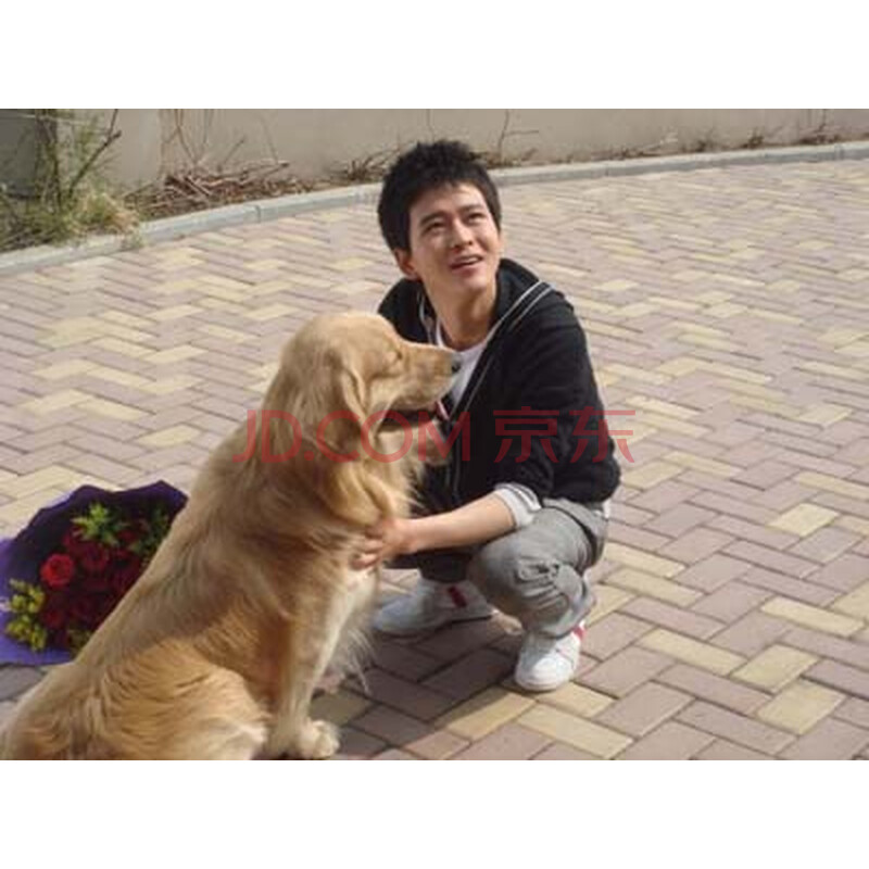  换位兄弟 (6hdvd) - 电视剧 - 影视 - 京东商城