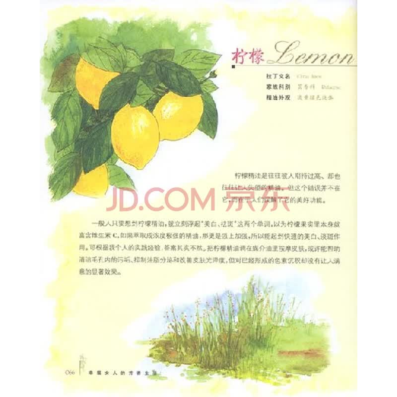 《<em>幸福女人的芳香生活</em>》(金韵蓉,黄敬懿)【摘要